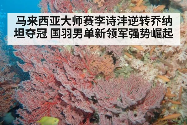马来西亚大师赛李诗沣逆转乔纳坦夺冠 国羽男单新领军强势崛起